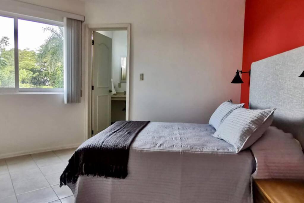 Apartament Rincon De Luz Cuernavaca Zewnętrze zdjęcie