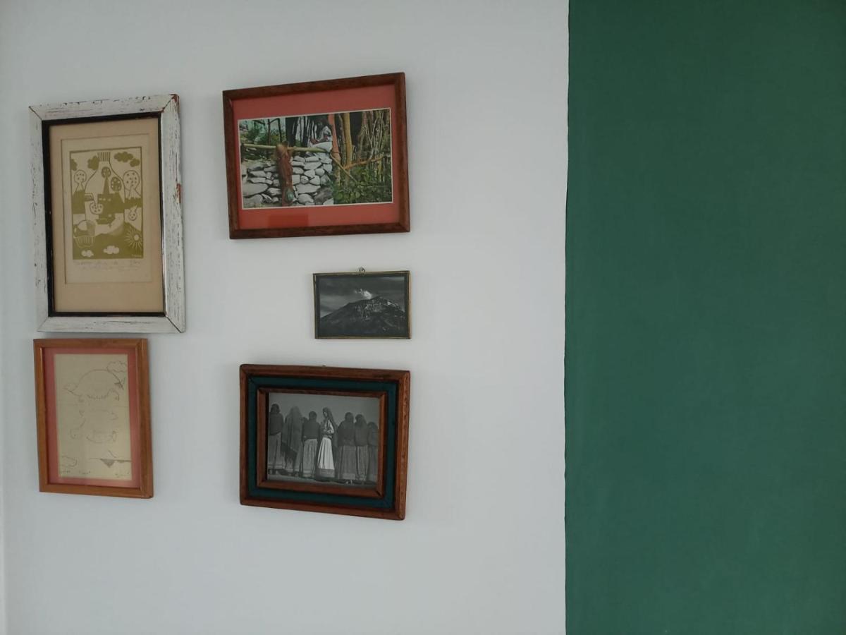 Apartament Rincon De Luz Cuernavaca Zewnętrze zdjęcie